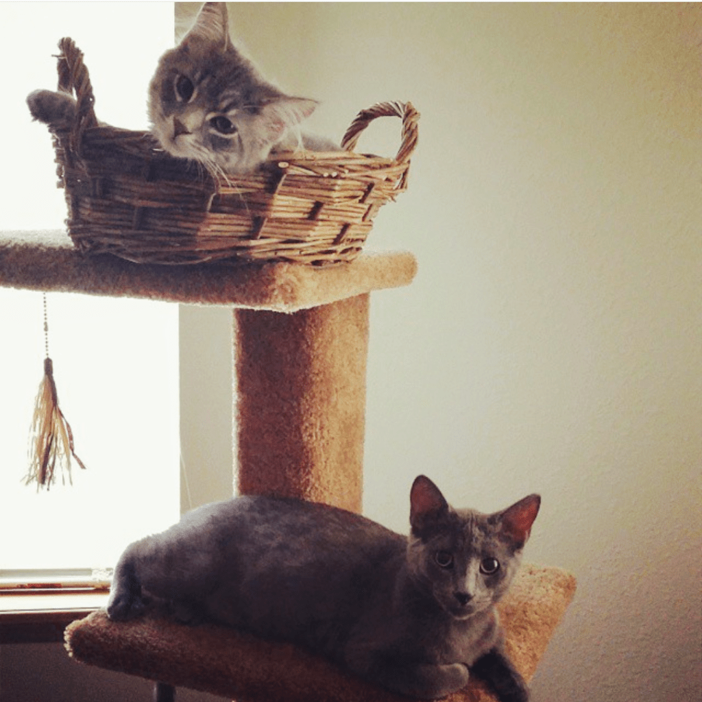 Grateful. Thankful. Blessed.